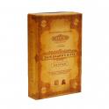Trickerion: Legend of Illusion - Dahlgaards Gifts Expansion