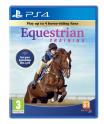 Equestrian Training