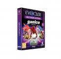 Blaze Evercade Gaelco Arcade 2