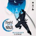 Night of The Ninja